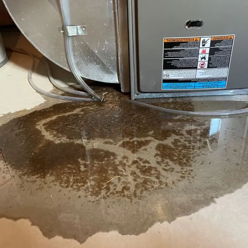 Pipe Burst and Leak Restoration in Oliver Springs, TN