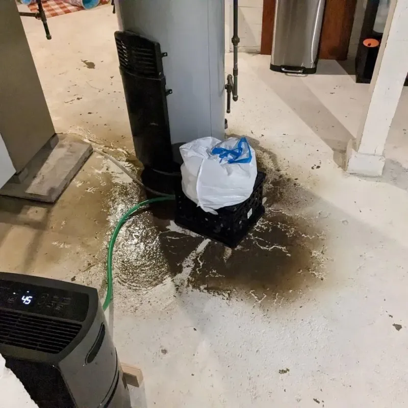 Sewage Backup Cleanup Service in Oliver Springs, TN